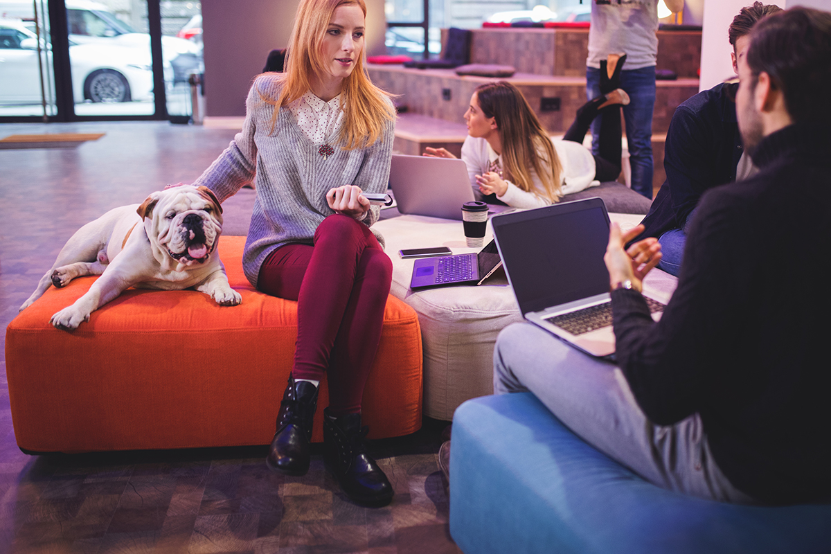 Tech professionals working in pet friendly workspace